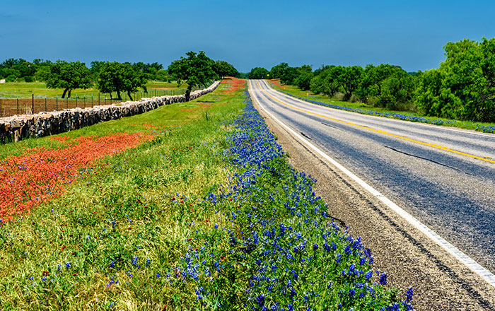 Use Texas Government Tech Solutions to Jump-Start Your Vacation