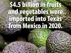 Produce Imports facebook Infographic