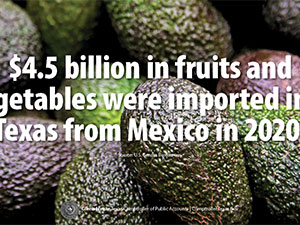 Produce Imports Twitter Infographic