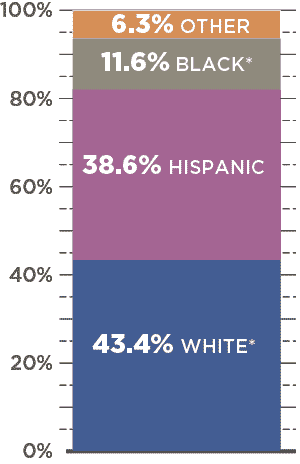 43.4% of Texans are white.  38.6% are hispanic. 11.6% are black. 6.3% are other ethnicities.