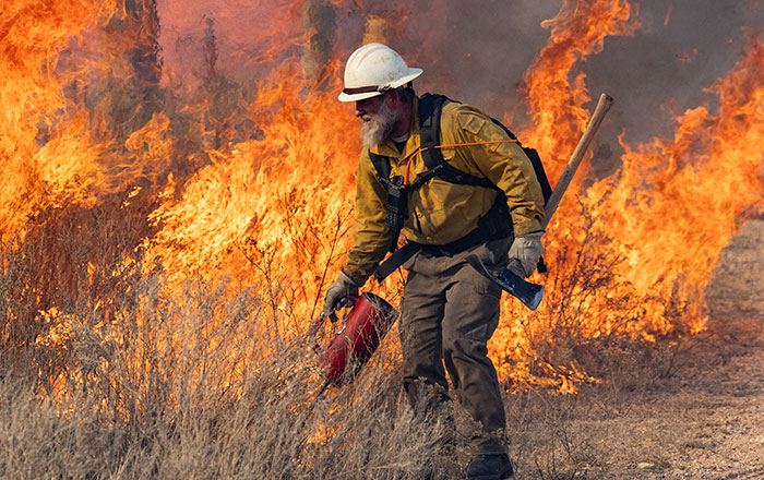 Panhandle Wildfires Devastate Lives, Economy