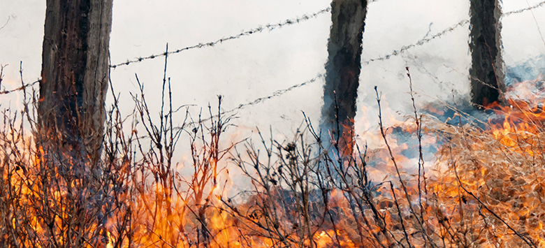 Texas’ wildfire risk