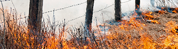 Texas’ wildfire risk