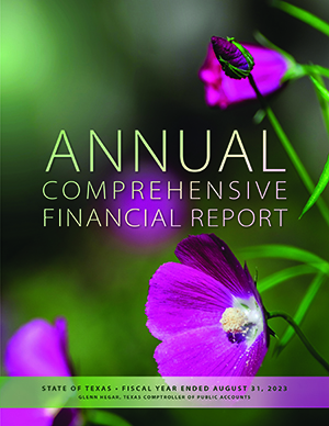 View Texas Comprehensive Annual Financial Report