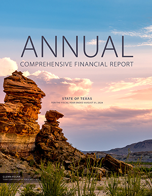 View Texas Comprehensive Annual Financial Report